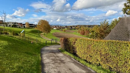 A sunny autumn walk through the rural paths of Risch in the canton of Zug, Switzerland, where trees with golden leaves line the peaceful countryside landscape.