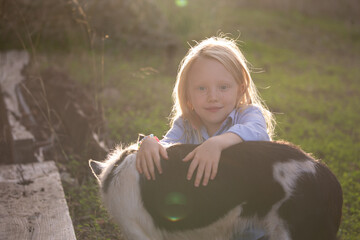 little blonde girl playing with shepherd dog on the sunset light 