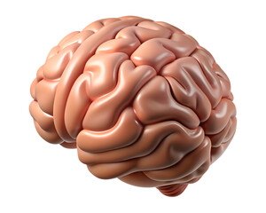 Hyper-Realistic 3D Human Brain Icon with Smooth and Intricate Details