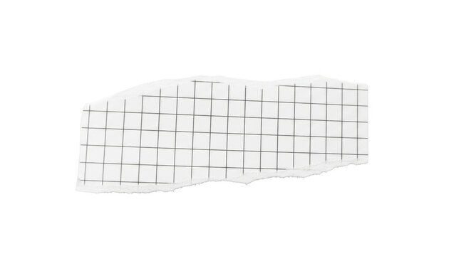White torn paper fragment with black grid lines isolated on a transparent background ripped piece