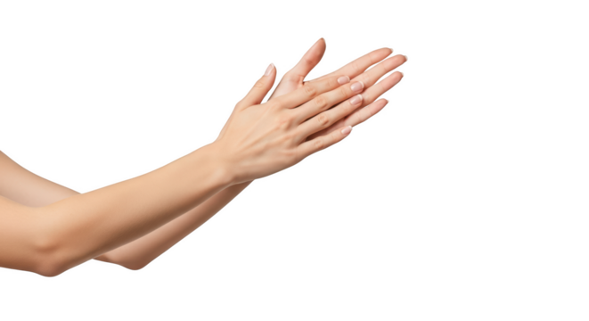Woman's hands with French manicured nails gently touching each other isolated on a transparent background