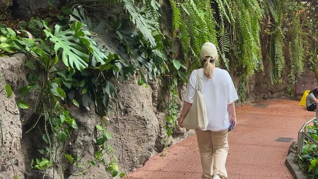 Strolling Through Vibrant and Lush Greenery in a Beautifully Tranquil Garden Path