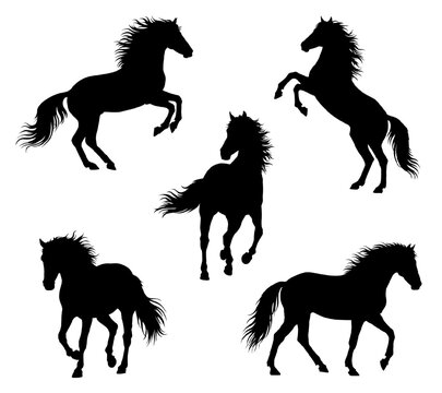 Set of black horse silhouettes in dynamic running and rearing poses. Outline wild animals on white. Vector equine shapes for 2026 Year of the Horse. Zodiac sign for logo, decoration, print, design