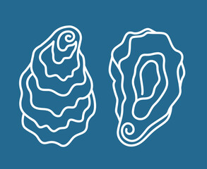 collection of oyster shell isolated on blue background