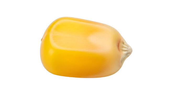 Single Yellow Corn Kernel Isolated on White Background
