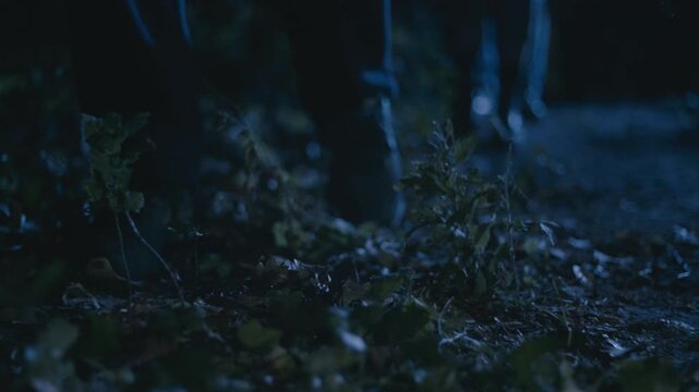 Group of people walking in dark forest at night with mysterious horror atmosphere