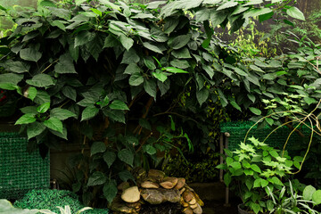 Lush green leaves create a serene garden atmosphere with a small stone fountain
