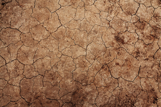 Cracked Dry Earth Surface