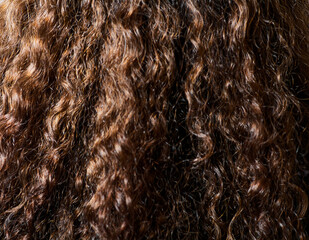 Curly Brown Hair Showcasing Natural Highlights And Texture For Haircare Advertisement