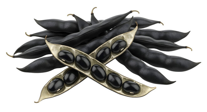 Black Bean Pods with Opened Pod Showing Black Beans Inside on White Background