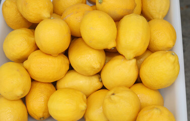 ripe yellow lemons for sale at the produce vendors market stall