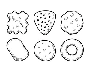 Hand-drawn variety of cracker biscuit cookie shapes outline food