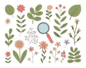 Hand-drawn nature study elements collection with magnifying glass and various plants