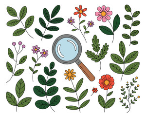 A collection of hand-drawn flowers, leaves, and a magnifying glass on white background