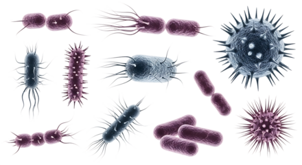 Diverse collection of rod shaped bacteria and spherical viruses with flagella and spikes, isolated on a white or transparent background, cutout, PNG
