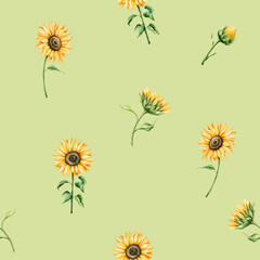Watercolor seamless pattern yellow sunflowers in warm autumn tones. Botanical hand drawn illustration isolated on background. Ideal for seasonal, halloween, forest, or nature-themed designs. Rustic