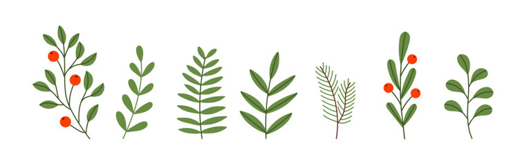 A set of winter Christmas plants.