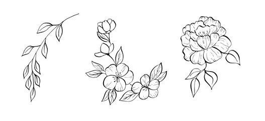 Vector delicate peony, tulip, begonia, aster, eustoma, rosehip, apple blossom with leaves. Hand painted linear contour flower. Graphic clipart isolated. Botanical, tattoo and wedding illustration. For