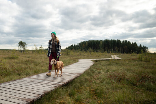 Woman enjoying nature outdoors on weekend trip with dog in autumn marshy wetland. Female hiker walking together with pet on wooden ecological trail in middle of raised sphagnum bog on windy day.