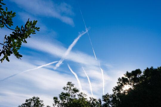 White contrails cross the clear blue sky, forming patterns above lush green tree tops - Powered by Adobe
