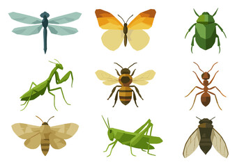 Colorful collection of geometric insect illustrations showcasing diverse species and their vibrant designs