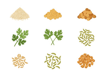 Grid illustration of nine different spices and herbs seeds and leaves