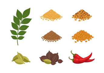 Illustration of various Indian spices and herbs arranged on a white background