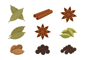 Nine illustrations of culinary spices arranged in a threebythree grid