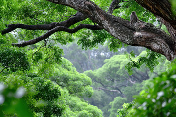 Owl perched on tree branch in lush green rainforest