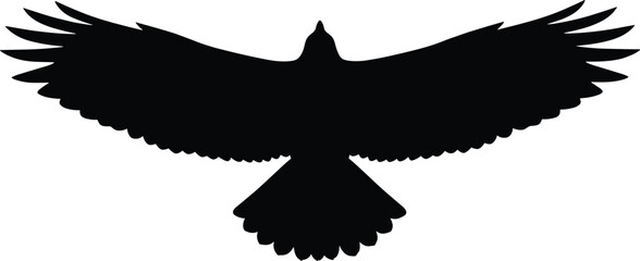 Bird in flight silhouette, wings spread vector, flying bird icon, tail feathers, minimalist design, wildlife concept, aerial view, nature symbol © Creative Crave