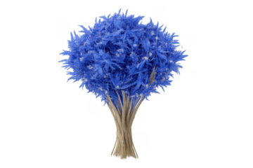 Fantasy blue fluffy tree on transparent background
