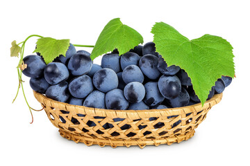 dark blue grape berry bunch in a wicker basket isolated on white background