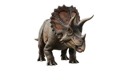 Fototapeta premium Realistic Triceratops Dinosaur with Three Horns and Frill, isolated on white or transparent background, PNG