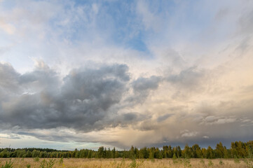 Obraz premium Cloudy sky with a few trees in the background