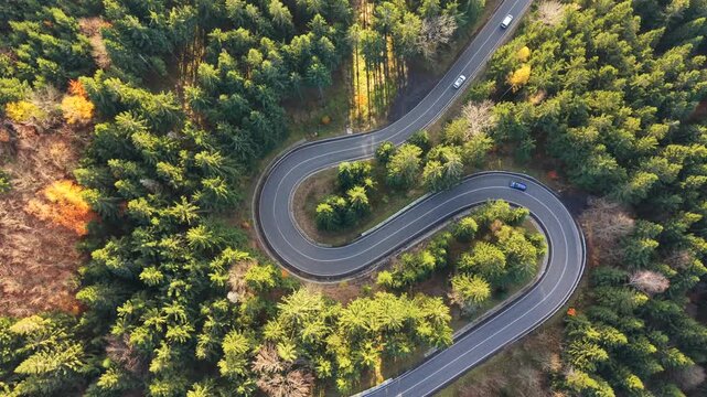 View a stunning aerial perspective of a winding serpentine road nestled in an autumn forest. The vibrant colors of the foliage enhance the natural beauty of the surroundings.