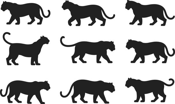Panther walking silhouettes, feline motion sequence, black vector design, animal locomotion study, side profile poses, isolated graphic asset, animation reference