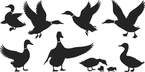 PrintSilhouettes of ducks in various poses, flying and walking birds with ducklings for nature, wildlife, behavior and illustration themes