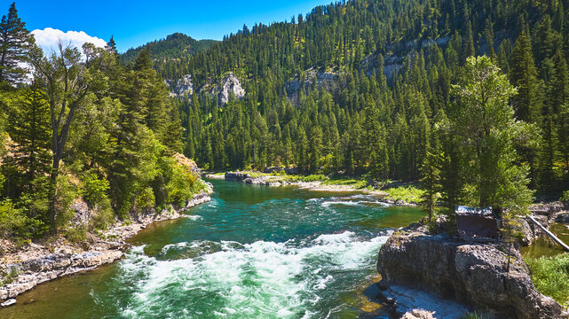 Aerial Rushing River Forest and Rocky Cliffs in Summer Wyoming