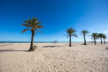Gandia beach in valencia with palm trees and blue sky