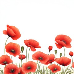 Obraz premium Vibrant red poppies with green stems create a striking floral composition against a blank background.