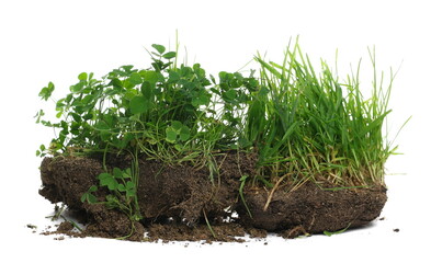 Green grass with dirt isolated on white background and texture, side view	