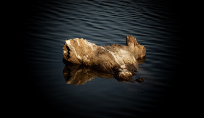 Dark artistic photo of driftwood floating on still water dramatic lighting contrast and minimalist...