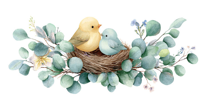 Watercolor illustration of two cute birds in a nest surrounded by eucalyptus leaves and flowers Concept of spring, love, and nature