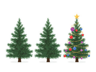 Fototapeta premium Get festive with evergreen Christmas trees, one decorated with vibrant ornaments and a golden star, perfect for holiday cheer and seasonal designs