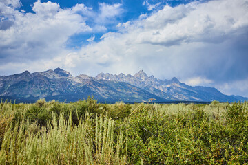 Grand Teton Mountain Range and Sagebrush Meadow under Dramatic Summer Sky Wyoming