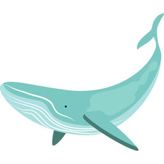 A minimalist illustration of a teal blue whale with white wave patterns on its body swimming gracefully in a transparent white background creating an aquatic theme suitable for digital art and marine