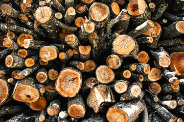 A neatly stacked pile of firewood logs, showcasing the natural texture, cut ends, and rustic patterns of the wood