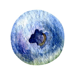 Watercolor blueberry isolated on white. Hand drawn botanical Illustration