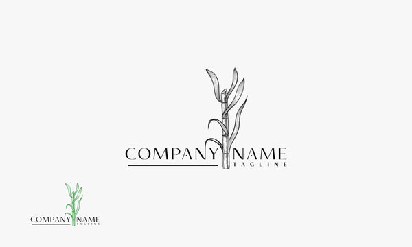 Sugar Cane hand drawn logo, Cane tree vector logo with vintage style