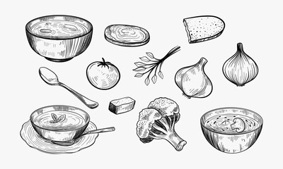 Vegetable soup. Hand drawn illustration converted to vector